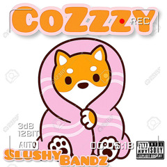 Cozzzy - SlushyBandz ( prod. StayGold