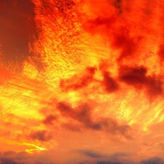 Needle - Sunrise Mix 2025