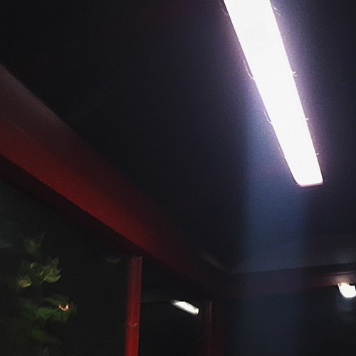 INTRO