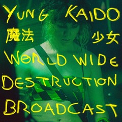 yung kaido worldwide destruction broadcast