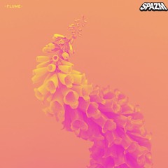 Flume- Never Be Like You feat. Kai (Spazm Remix)