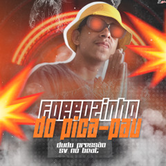 Forrozinho do pica-pau (feat. SV NO BEAT)