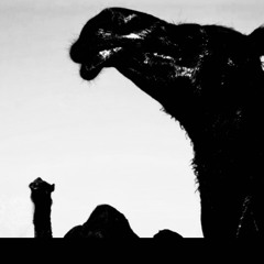 Werблюдь Белай 1