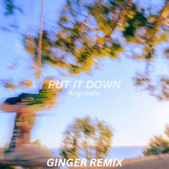 Put It Down - Angrybaby (Ginger Remix) [FREE DOWNLOAD]