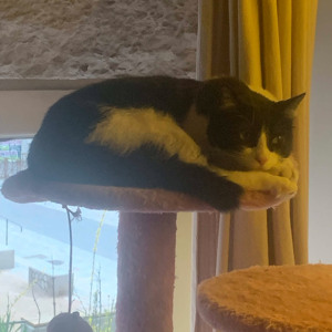 Le béguin pour DMS (24.04.25)