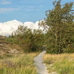 33 ITTD MENTALIDAD DE APRENDIZ