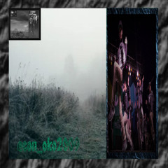 [VERY OLD] econ_oko2009