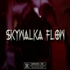 Skino - "Skywalka Flow" (Official Audio)