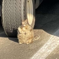 fuck off (FREE DOWNLOAD)