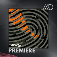 PREMIERE: Pablo Goyesi - Veja (Original Mix) [Print ID]