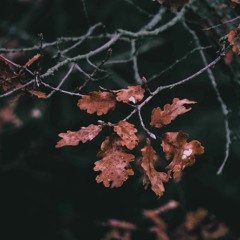 I. Introduction - XXV "A heavy heart, Beloved, have I borne"