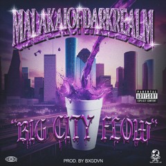 BIG CITY FLOW (PROD. BY BXGDVN)