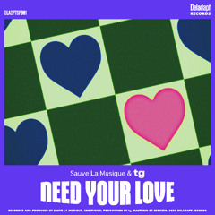 Need Your Love (ZeroZed's Radio Edit)