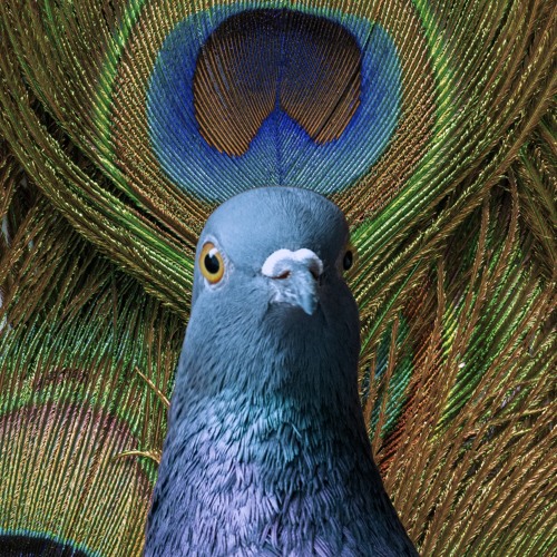 Musical Minutes - Season 1