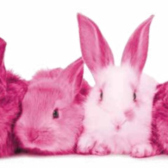 easter bunny