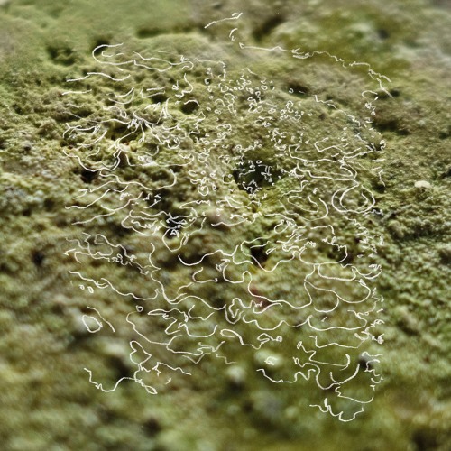 Resonant Breathing Exercices 3 l Coline Cornélis x Le Motel l Noods Radio