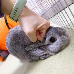 CBZL - Up All Night (2006 version)