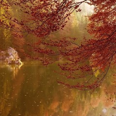 Falling Leaves edit (Free DL)