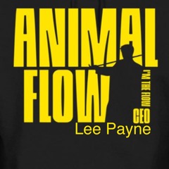 Animal flow