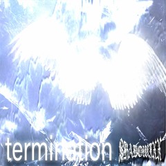 TERMINATION - SHADOWIXX