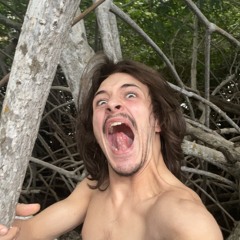 the florida alligator is talking now…