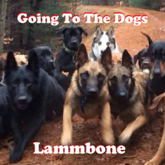 Going To The Dogs