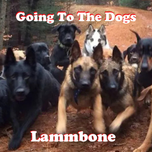 Going To The Dogs