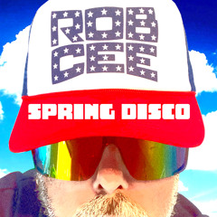 SPRING DISCO