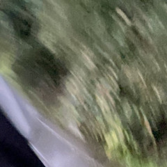 boy won’t cry (18y) deleted songs from teardrop,saidmyname.