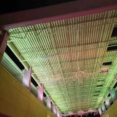 we have all the time in the world to love