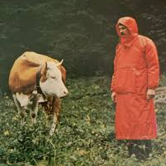 alto saxophone improvisation