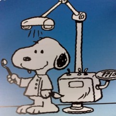 Veneers prod.birdbusinness