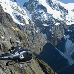 Best Milford Sound Helicopter Tour Tours Prices Reviews