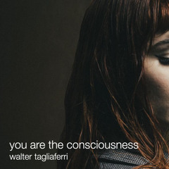 you are the consciousness