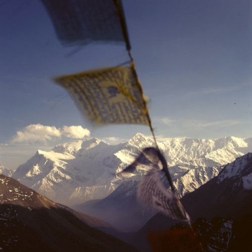 x & cookies interlude