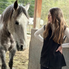 Dream Horse
