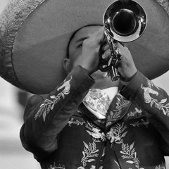 Mexican Trumpets – SAINTS 7