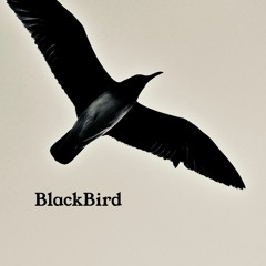 Blackbird (Beatles Cover)