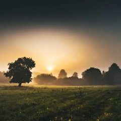 A Breath Of A Morning