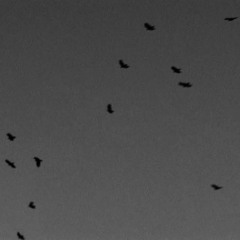 Nights Like This (Midnight Mix)