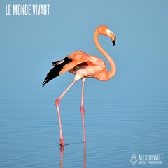 Our Kingdom, Our Home