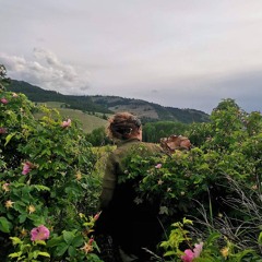 RELEASE.01 - SUBLESS