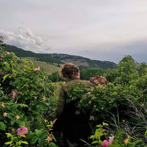 RELEASE.01 - SUBLESS