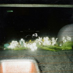 i wish you loved me - Nightly