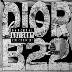DIOR B22