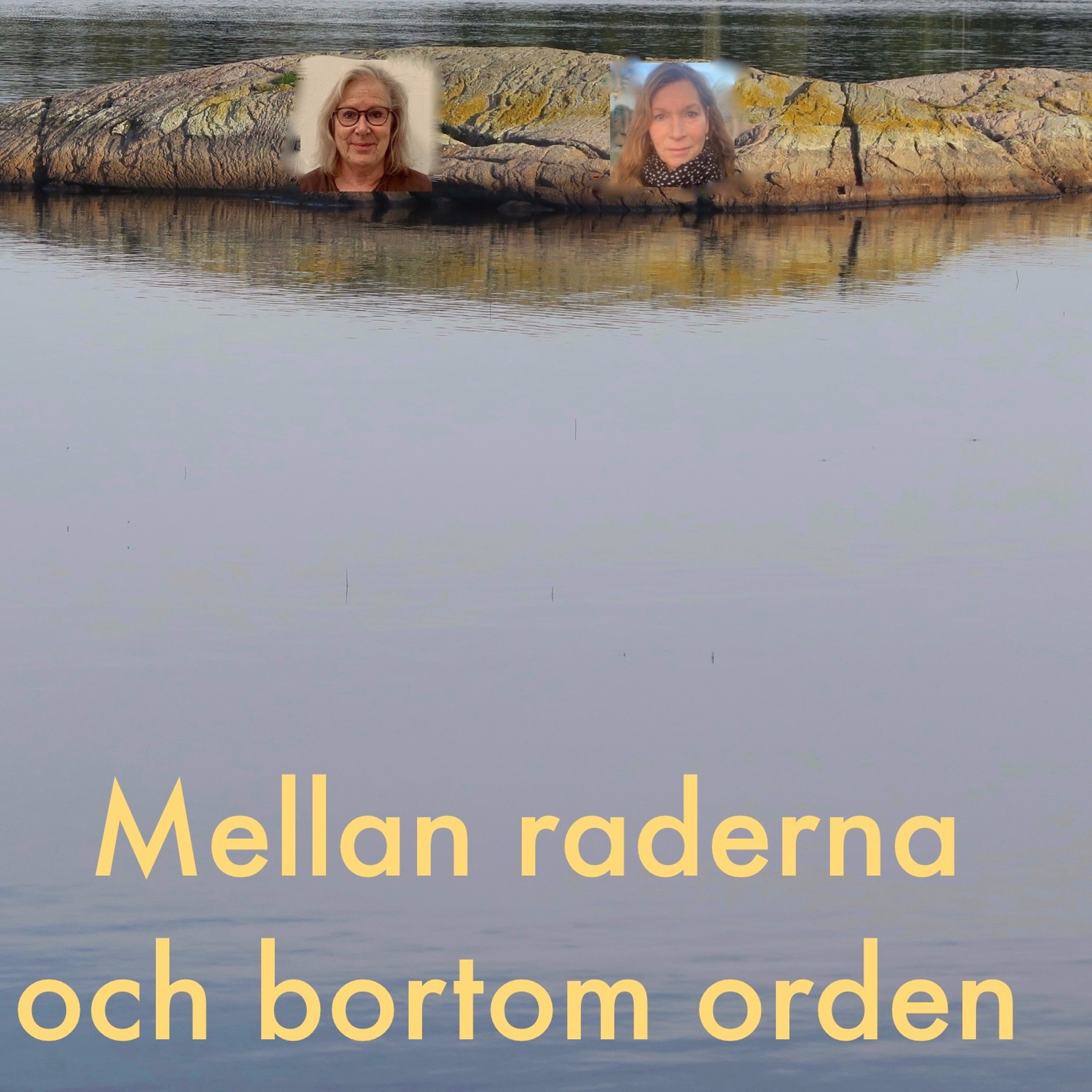 Psykoterapeuter pratar på