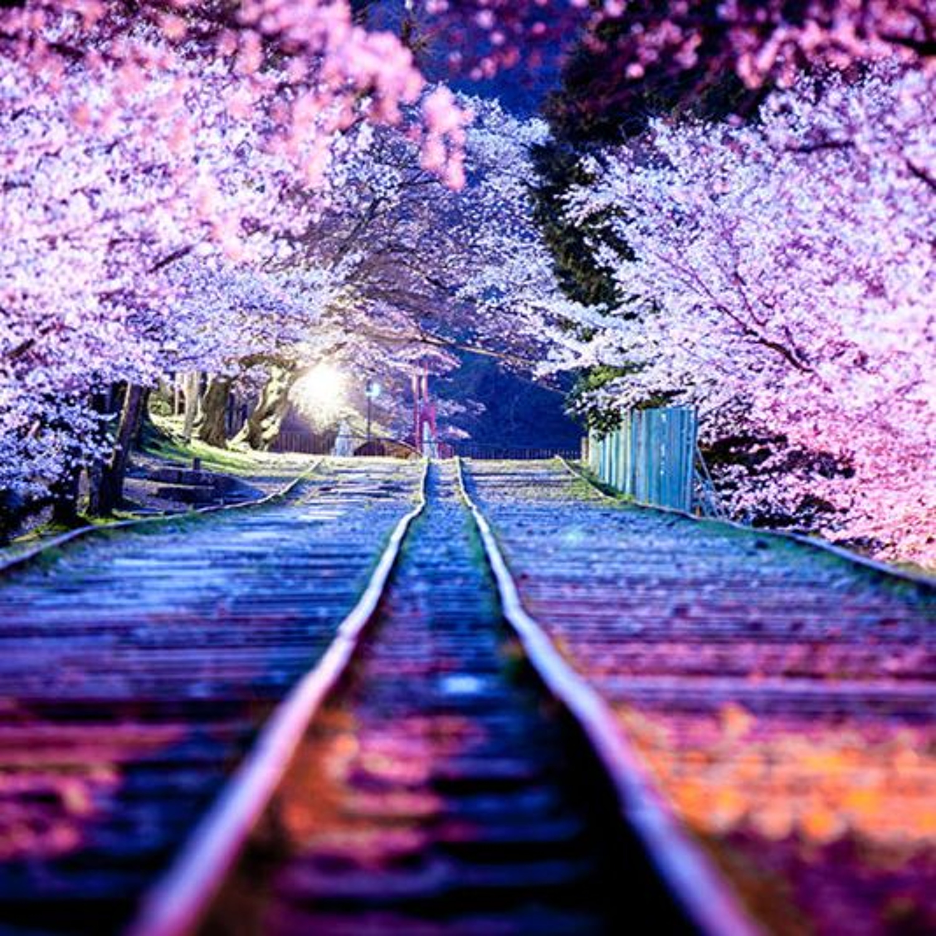 TOKYO (EG) ㊙🈵
