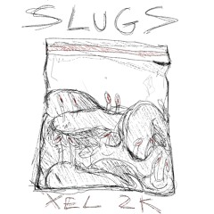 SLUGS - XEL2K prod. gecko + GROUNDHUMMM
