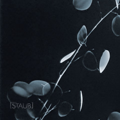 STAUB #134