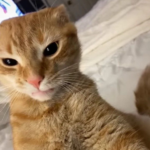 Genius - ft. Sia, Diplo, Labrinth (Sped up)